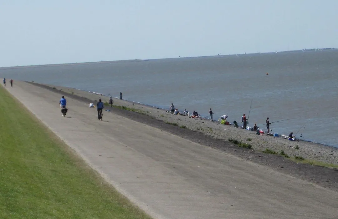 Bed And Breakfast De Zeehoeve-1